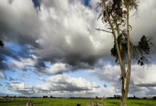 法国篮球甲级联赛新赛季开启，争夺冠军激烈