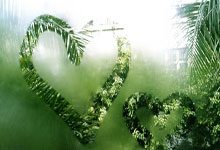 法国篮球甲级联赛新赛季开启，争夺冠军激烈