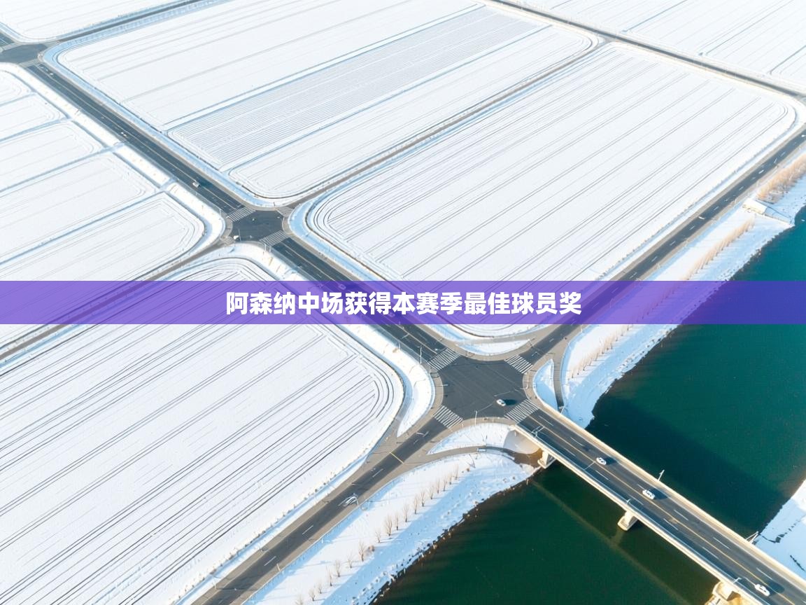 阿森纳中场获得本赛季最佳球员奖  第1张