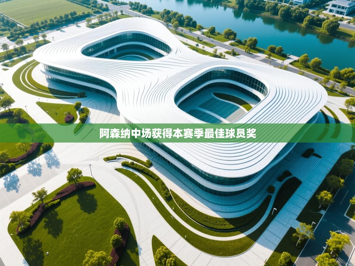 阿森纳中场获得本赛季最佳球员奖  第2张